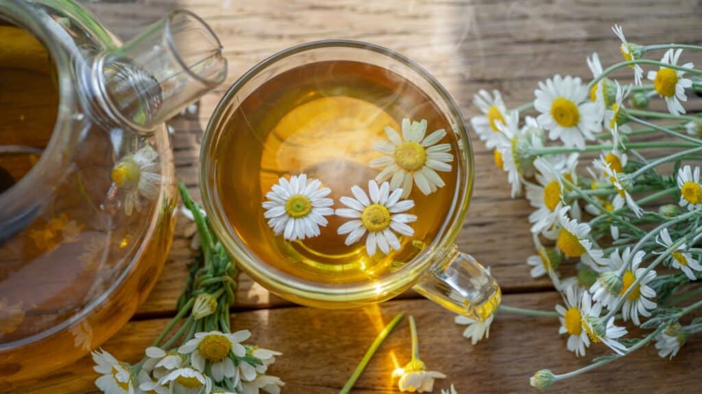 Herbal chamomile tea and chamomile flowers near teapot and tea glass. Rural or countryside background.