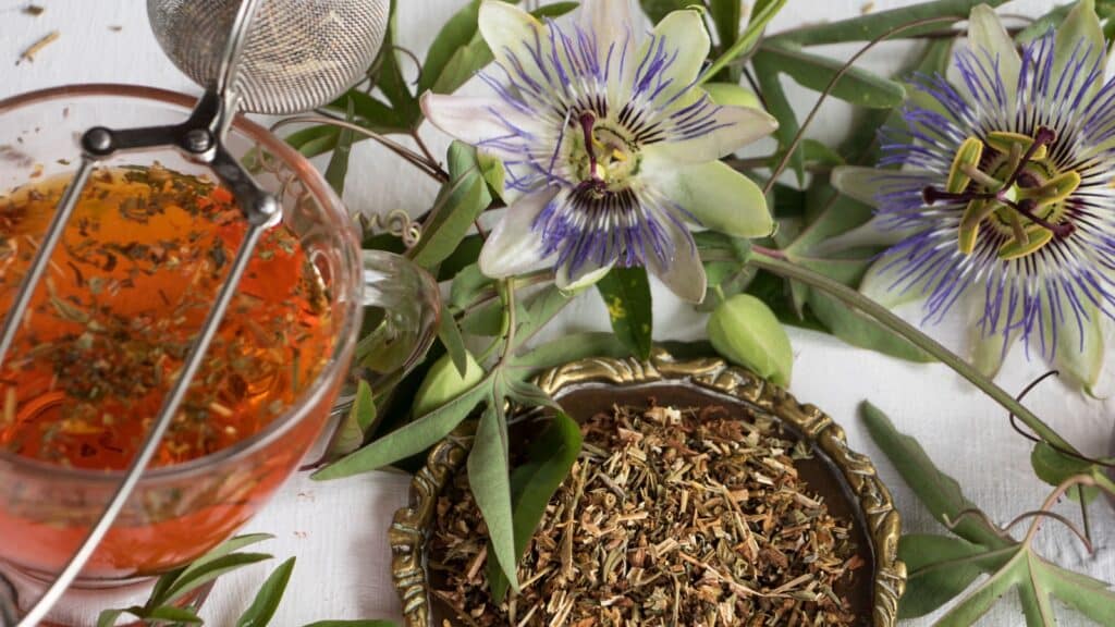 Passion flower, the medicinal plant.