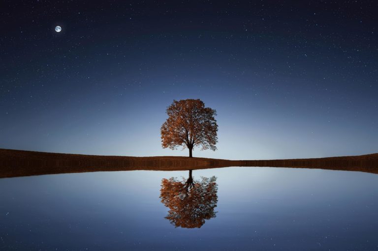 how to see the beauty in everything - post featured image
