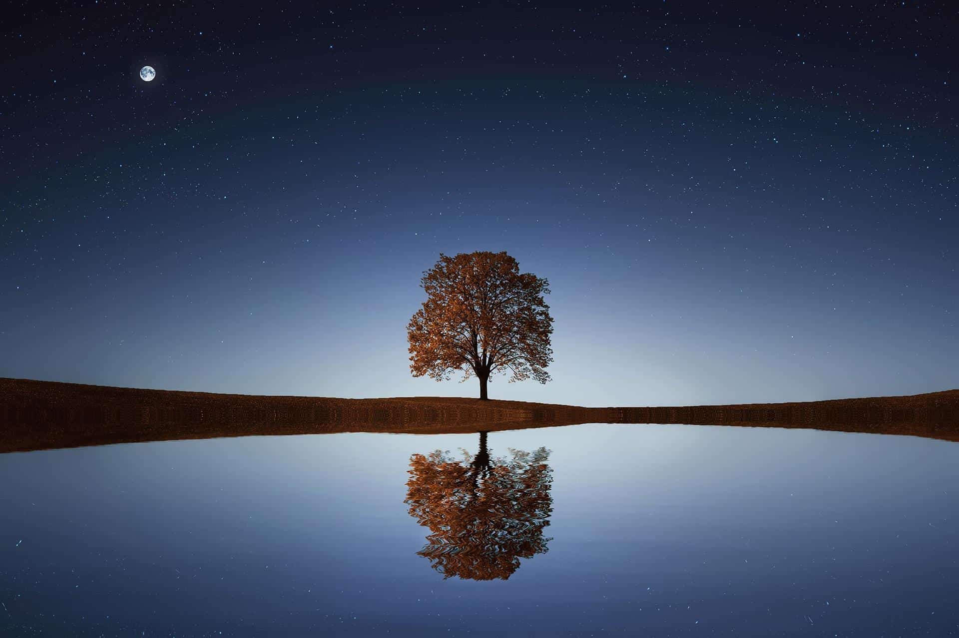 how to see the beauty in everything - post featured image