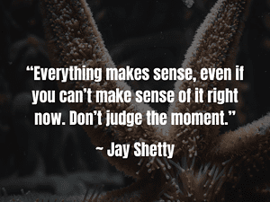 jay shetty quote