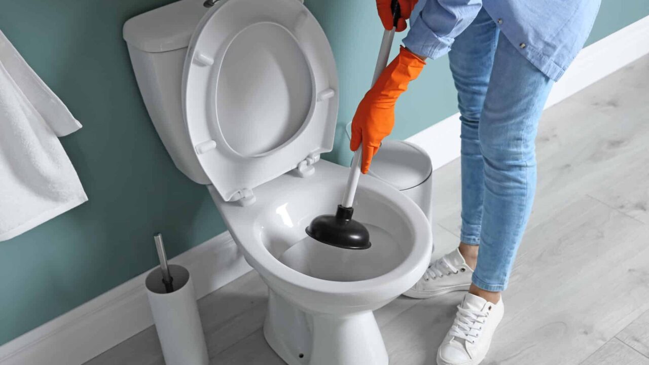 Woman plunging toilet in bathroom