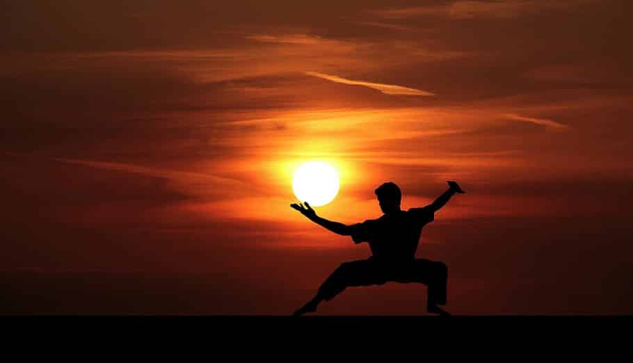 man practicing kung fu