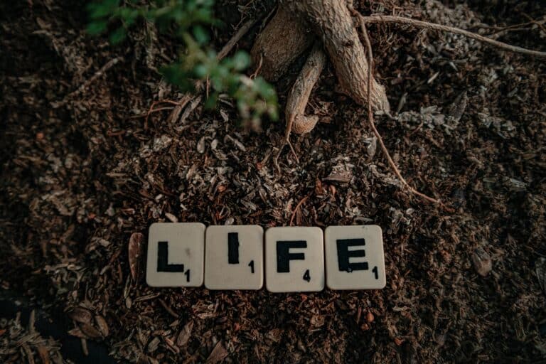 words written in the dirt