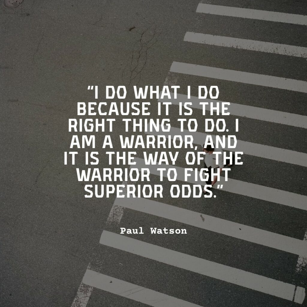 warrior quote