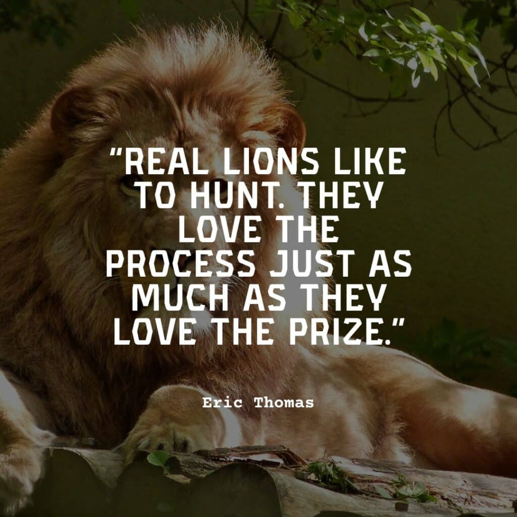 hungry lion in the jungle