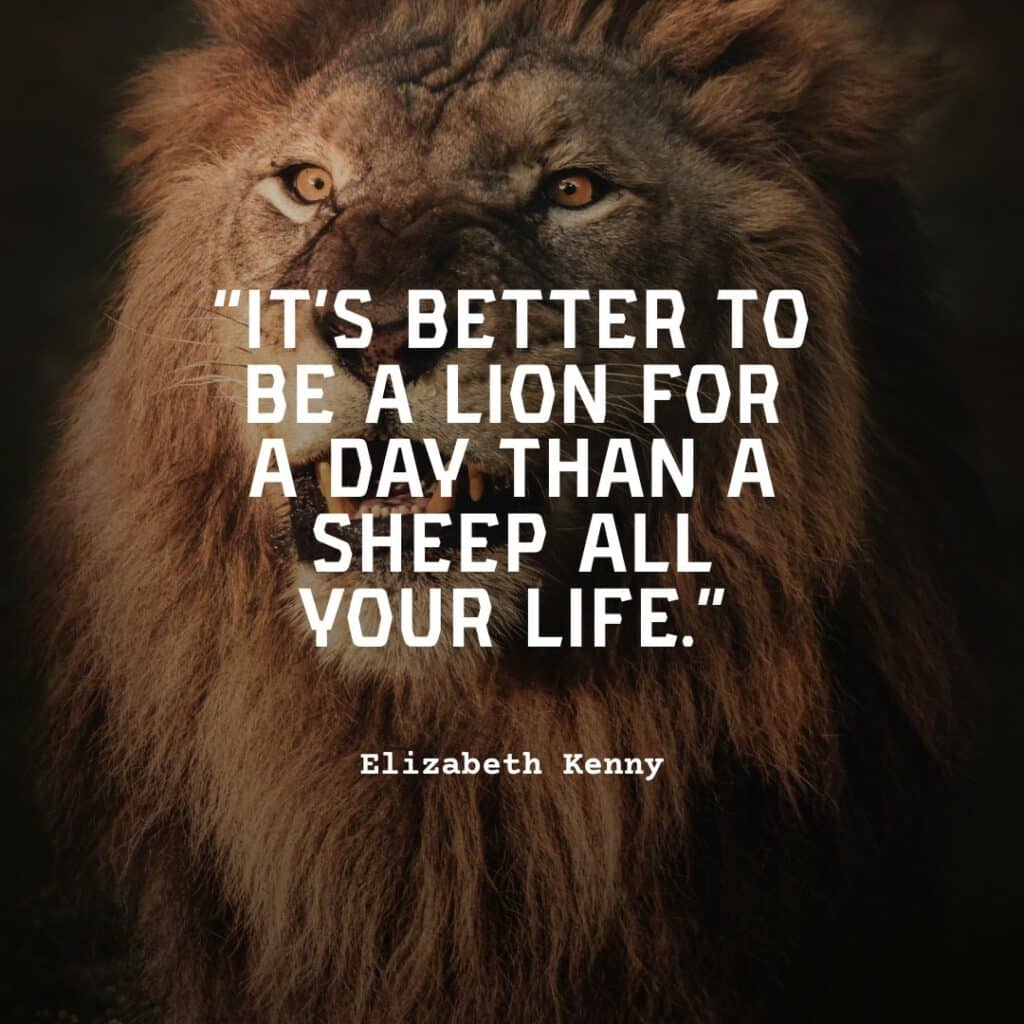 hungry lion
