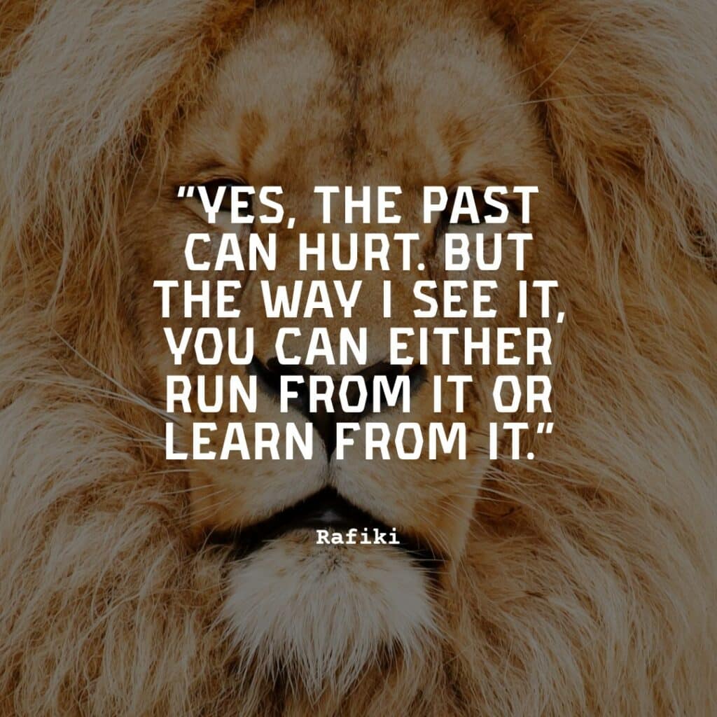 lion staring