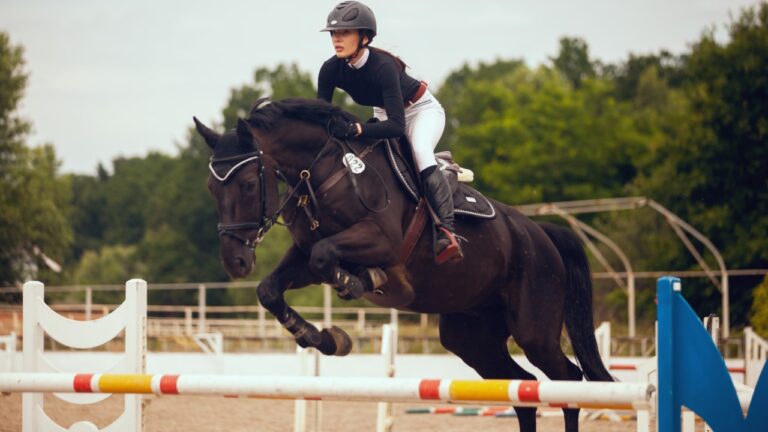 These 13 Horse Breeds Are the Most Expensive to Buy