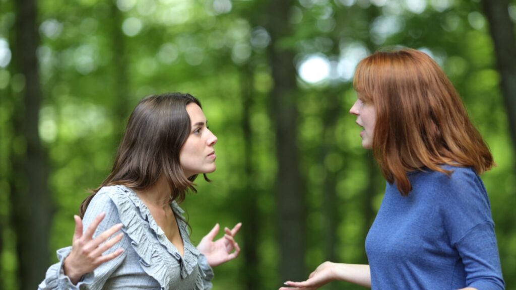 Annoyed friends arguing