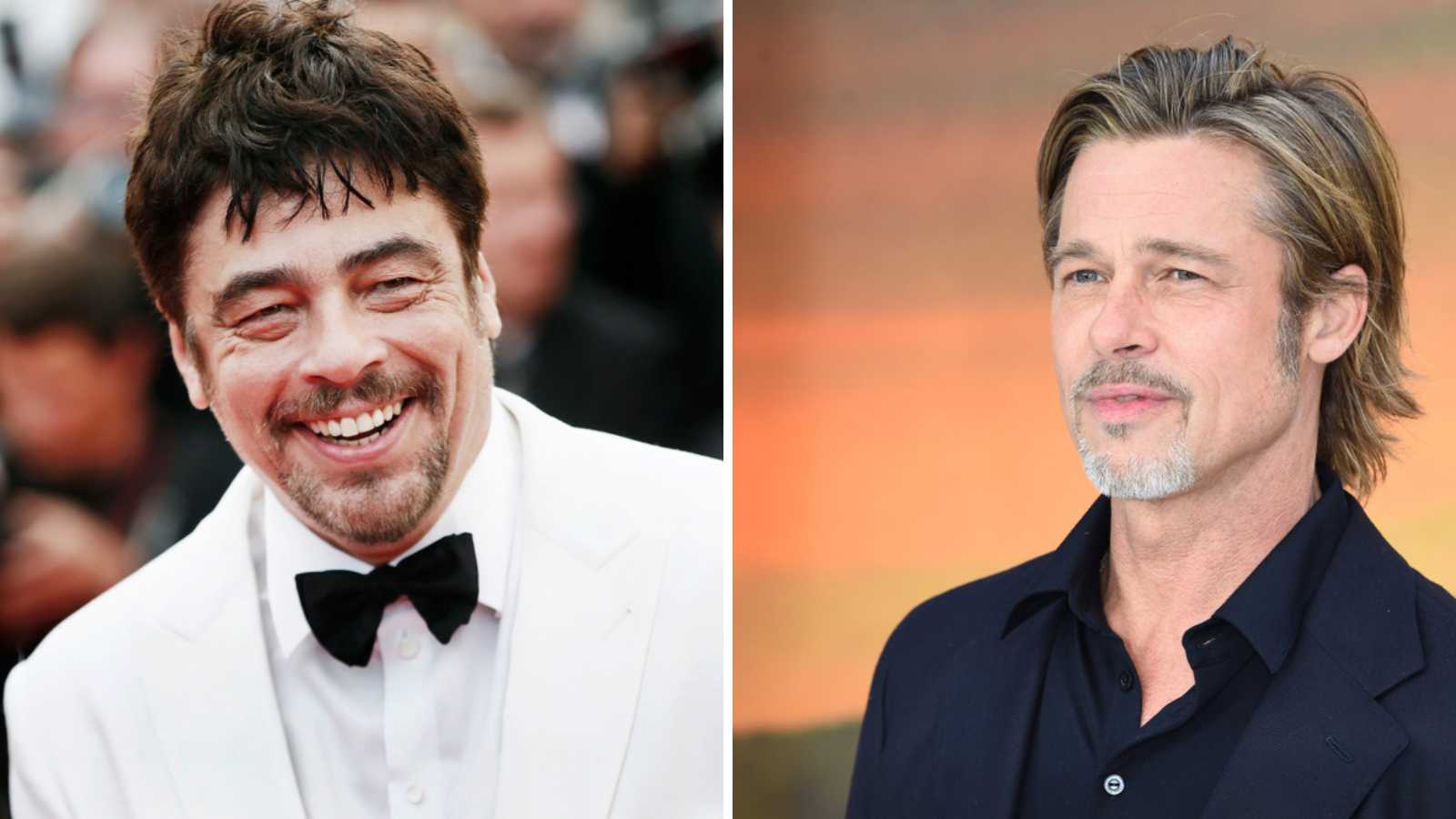 Benicio Del Toro and Brad Pitt