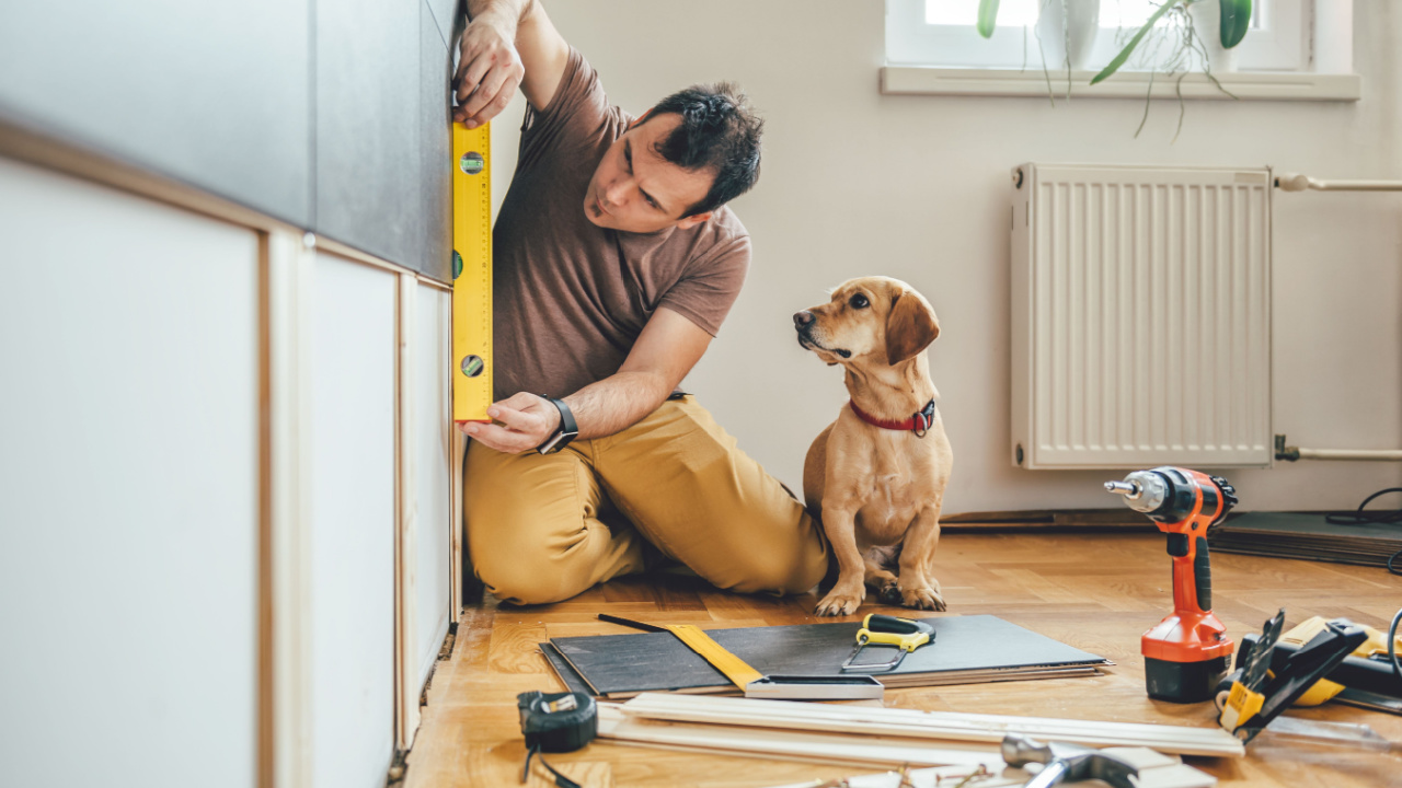 Man doing renovation work at home together with his small yellow dog. Home repair, DIY, craftsmanship, pet owner, OSHA, male laborer, safety and physical labor.