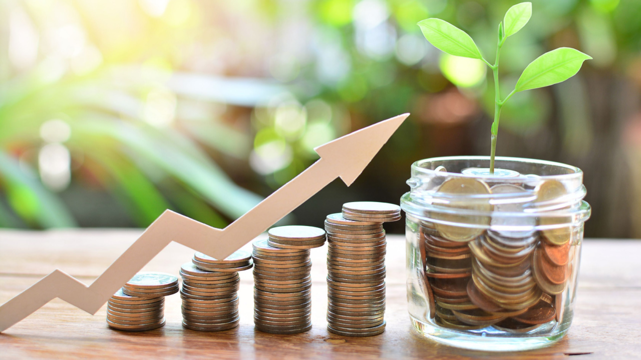 coins, money, savings, growth