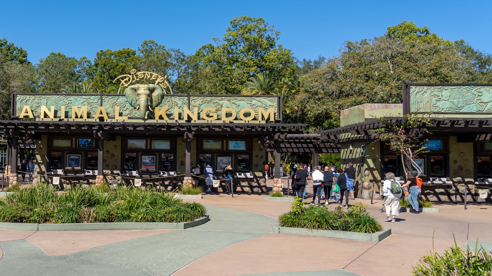 animal kingdom entrance.