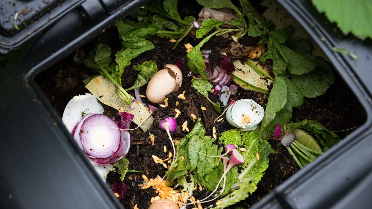 compost bin