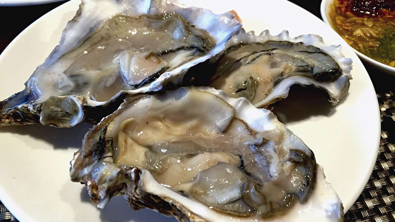 Fresh oysters on ice on a plate.