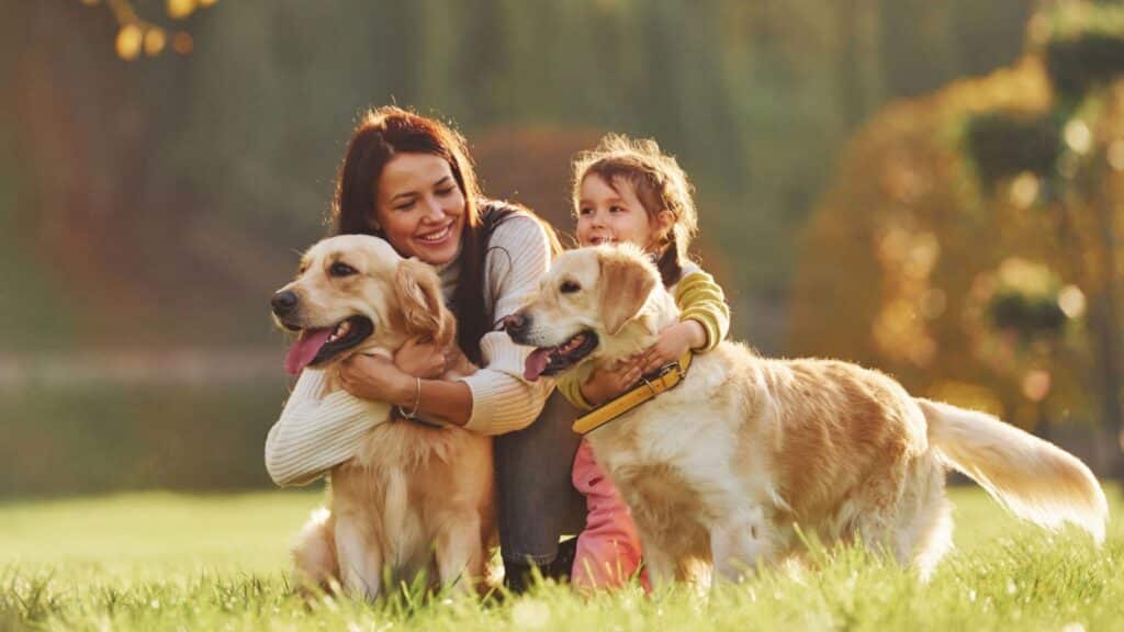 Mother with her daughter have walk with two Golden Retriever dogs in the park.