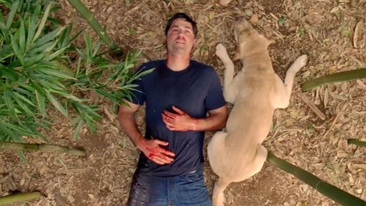 Lost Series Finale