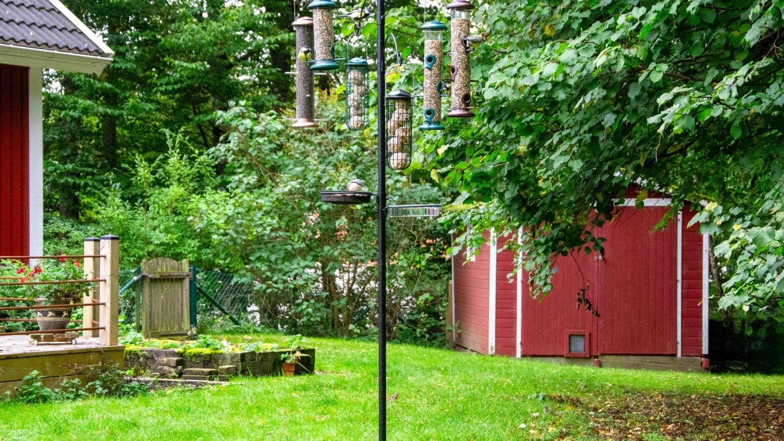 house with bird feeder.