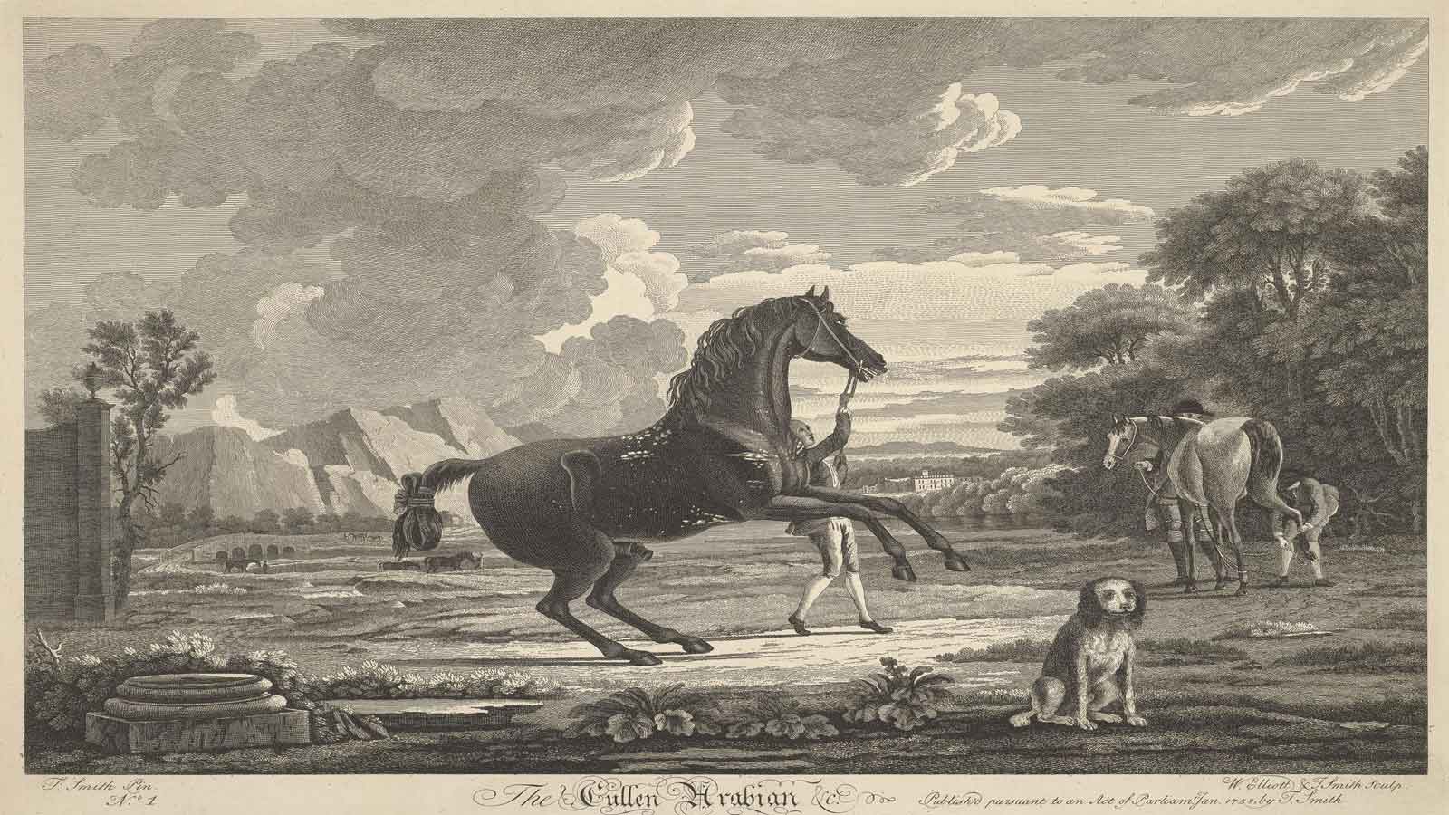 death by horse