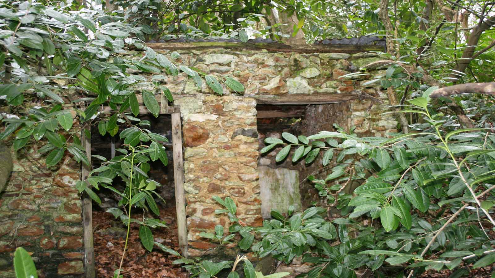 old privy england cottage