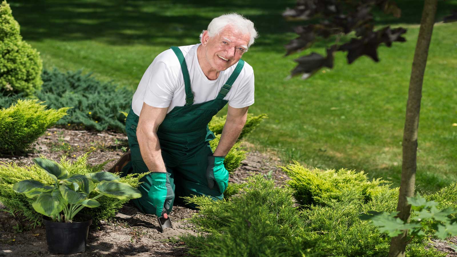 smiling man garden