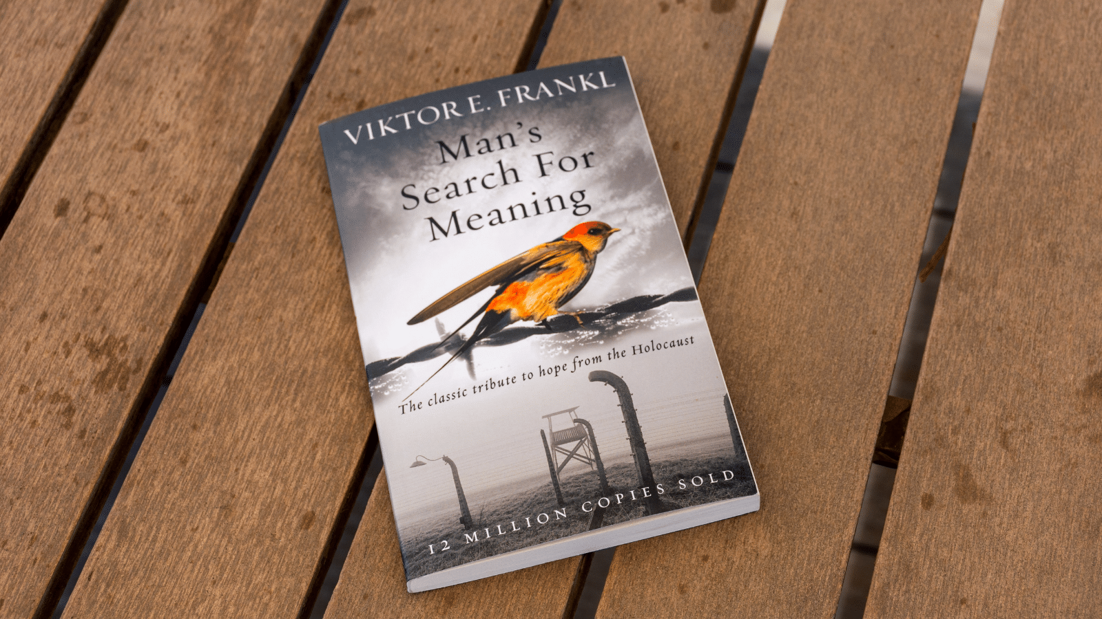 Man's Search for Meaning book sitting on a picnic table.
