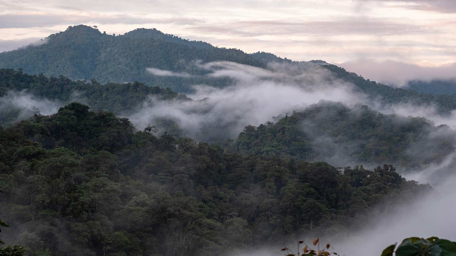 mashpi ecological reserve ecuador