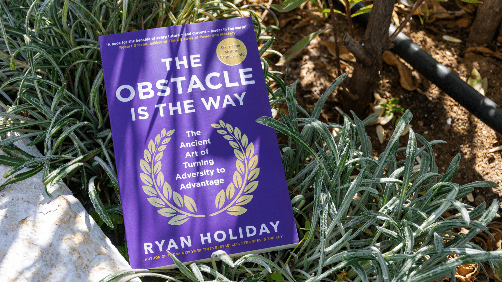 Close up Ryan Holiday's The Obstacle Is the Way book in the garden.