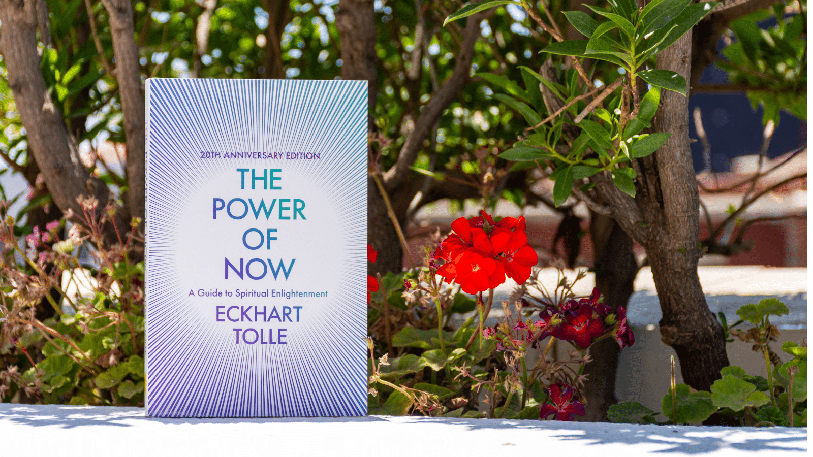 Close up Eckhart Tolle's "The Power of Now" book in the garden.