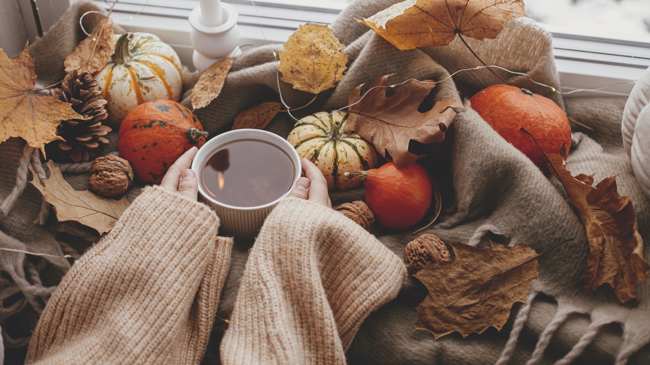 Cozy Fall Interior