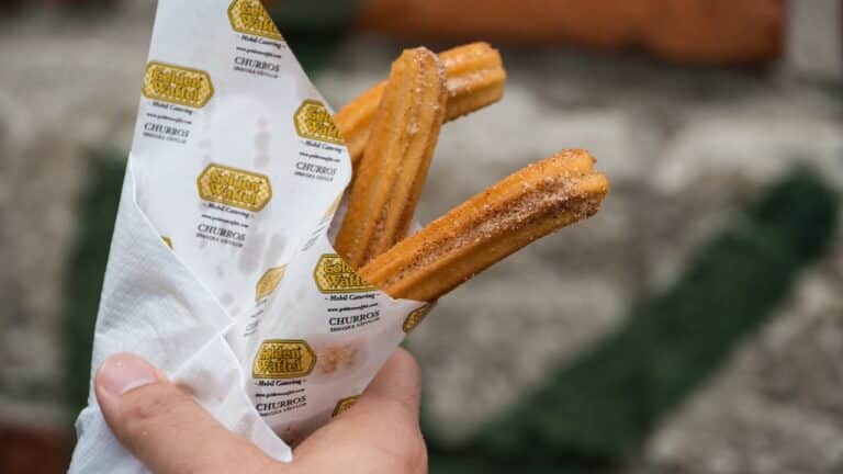 A hand holding churros with cinnamon sugar in a paper cone.