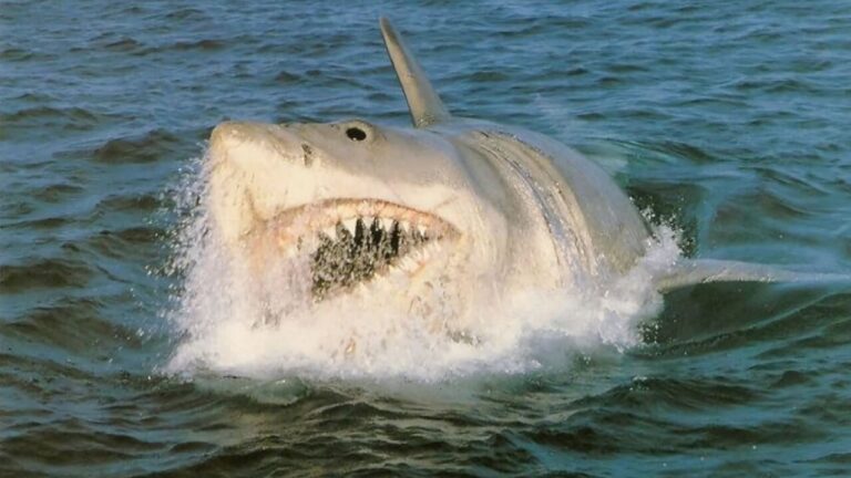 Jaws: The Revenge (1987)