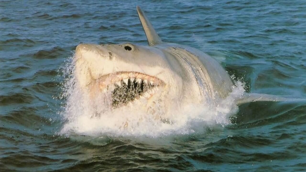 Jaws: The Revenge (1987)