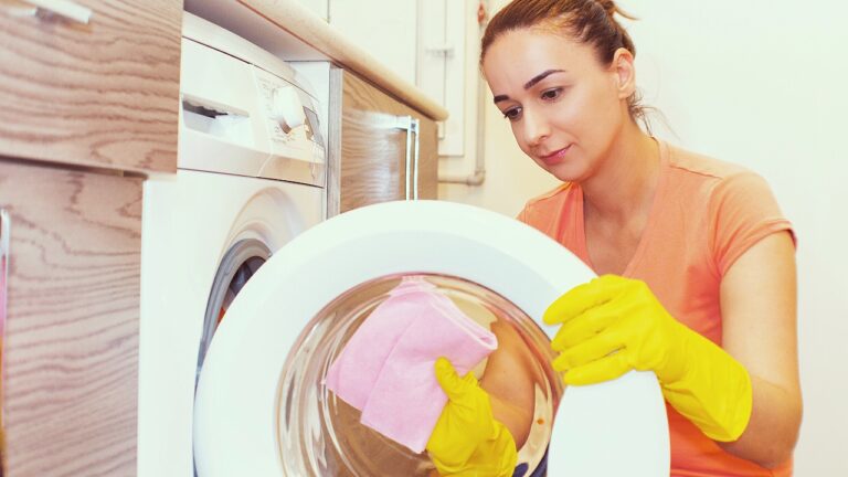 A woman does house cleaning, wipes the washing machine.