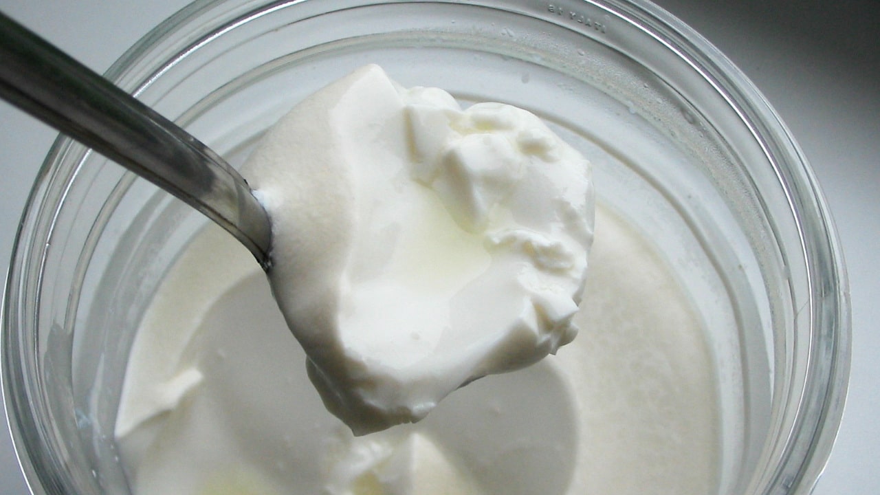 Sour clotted milk scooped out of container with a spoon