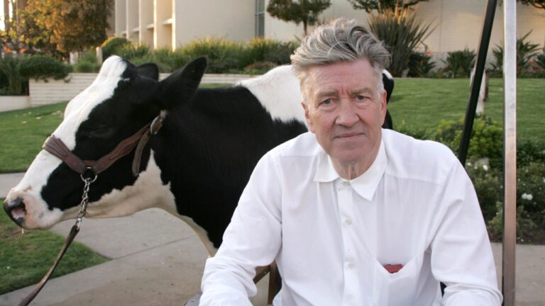 David Lynch with cow