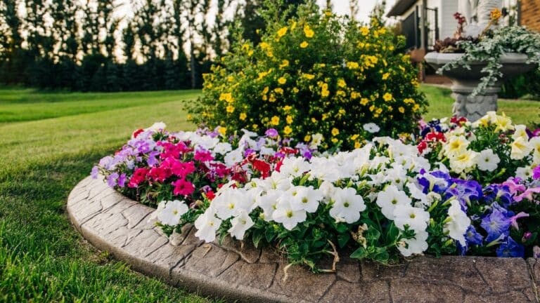 Featured image 7/23/24. Stock Photo ID: 1474113965. A home, house curb appeal, flower beds, garden blooming in the Spring and Summer, seller properties and renovations, gardening, home and garden, foundation plants, plants that increase curb appeal and buyer interest.