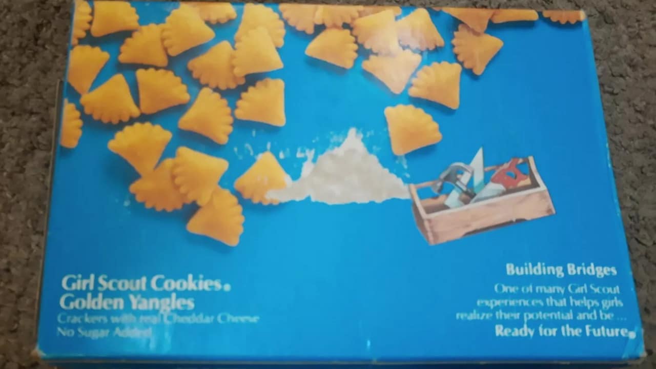 Photo of a box of discontinued Girl Scouts Golden Yangles