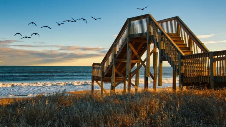 Flock of Birds at Topsail Beach in Jacksonville, North Carolina. The photograph is taken at sunset, with tall graves, small waves in the shoreline, and a pier.