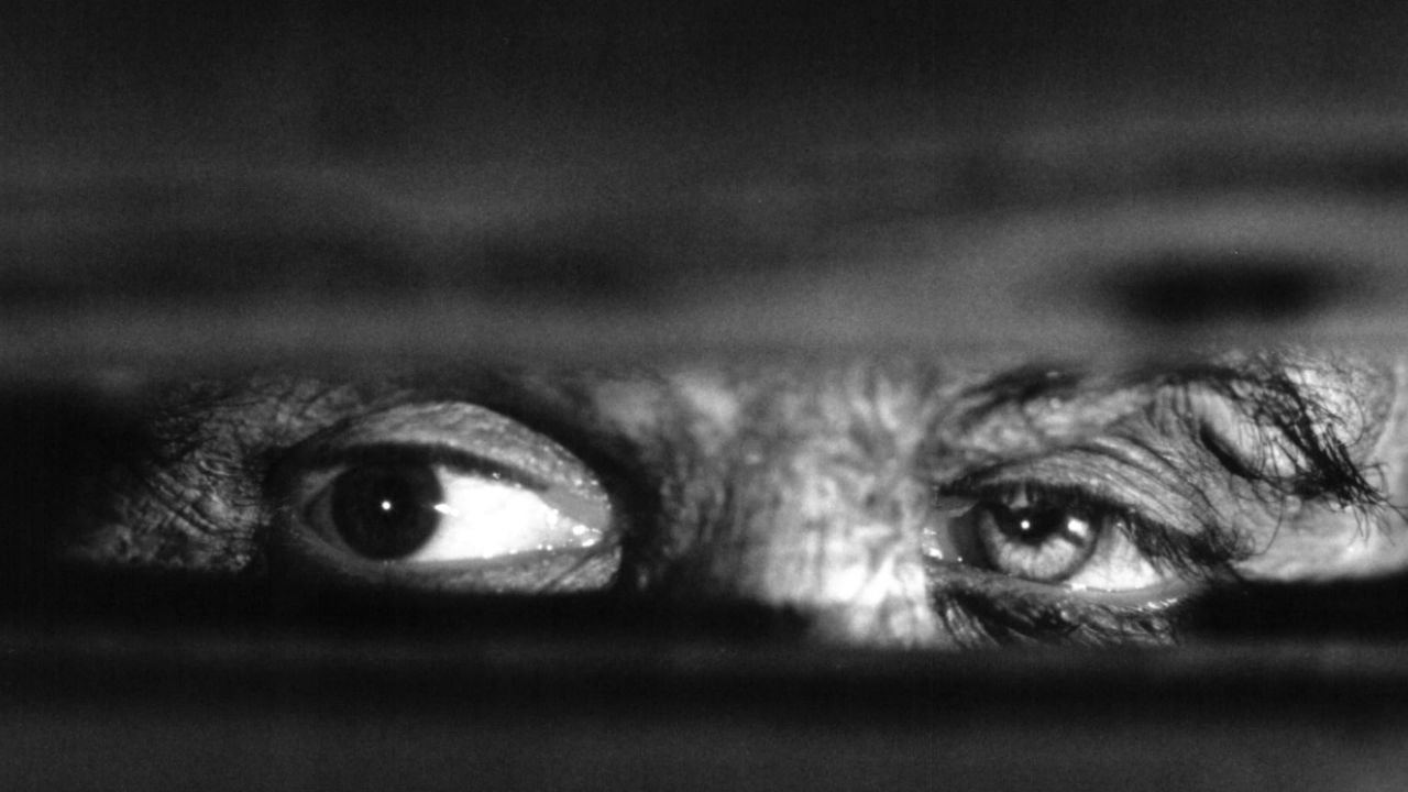 Mary Shelley’s Frankenstein