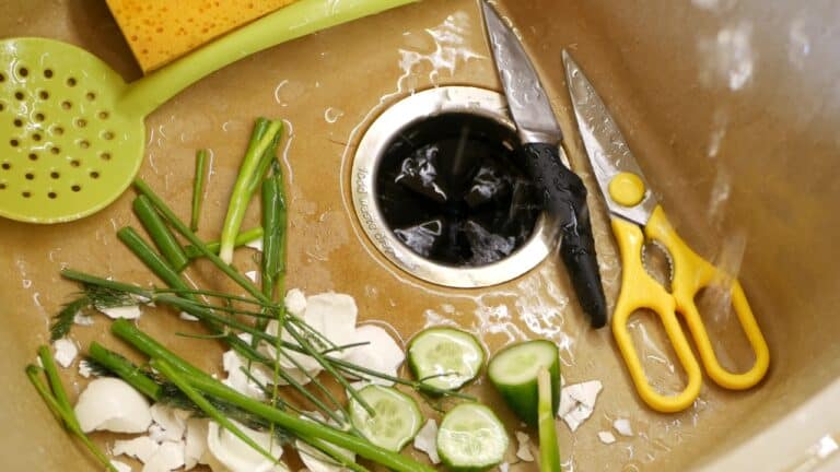 Organic garbage in sink with built-in food waste disposer.