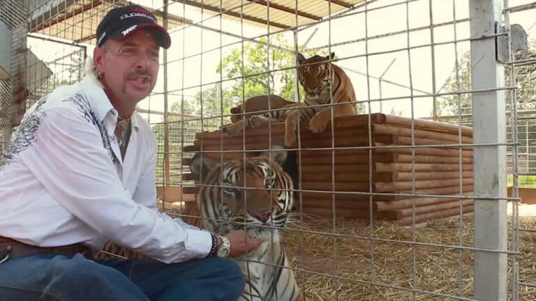 Joe Exotic in Tiger King (2020) True Crime Documentaries
