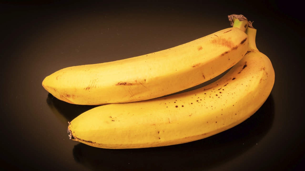 Two ripe bananas on a bunch