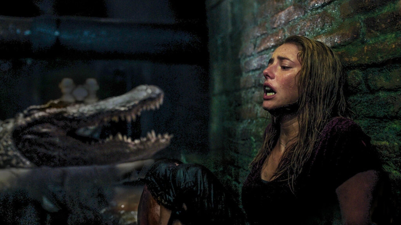 Kaya Scodelario in Crawl (2019)