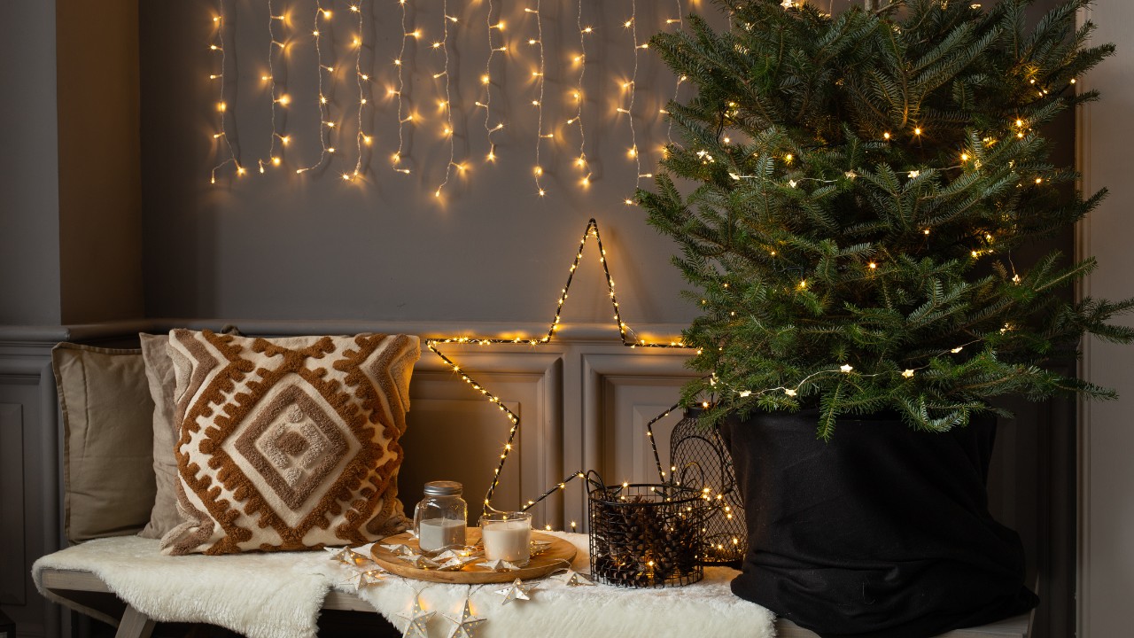 A wooden bench sits next to a pine tree delicately wrapped in loose string lights. The bench has comfortable coverings, including a fuzzy throw, candles, decorative pillows and other lighting and decor. It is leaned against the wall where string lights are draped. 