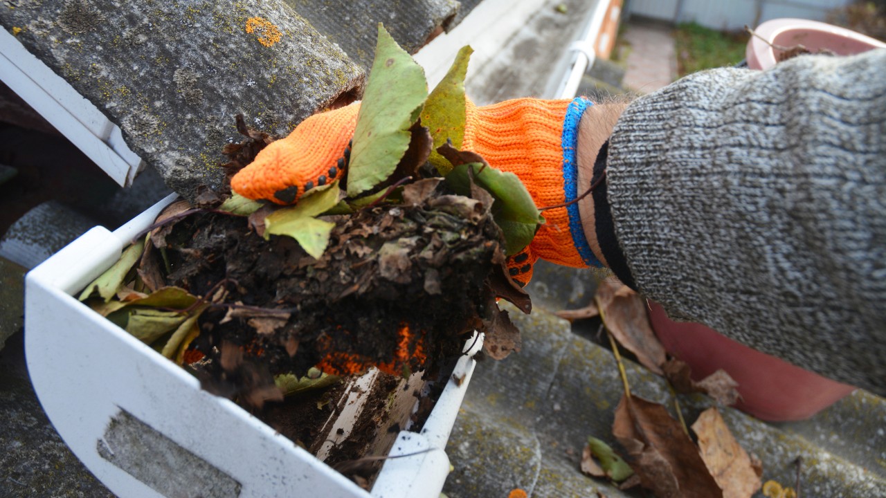 Someone cleaning a clogged roof gutter from dirt, debris and fallen leaves to prevent water damage and let rainwater drain properly.
