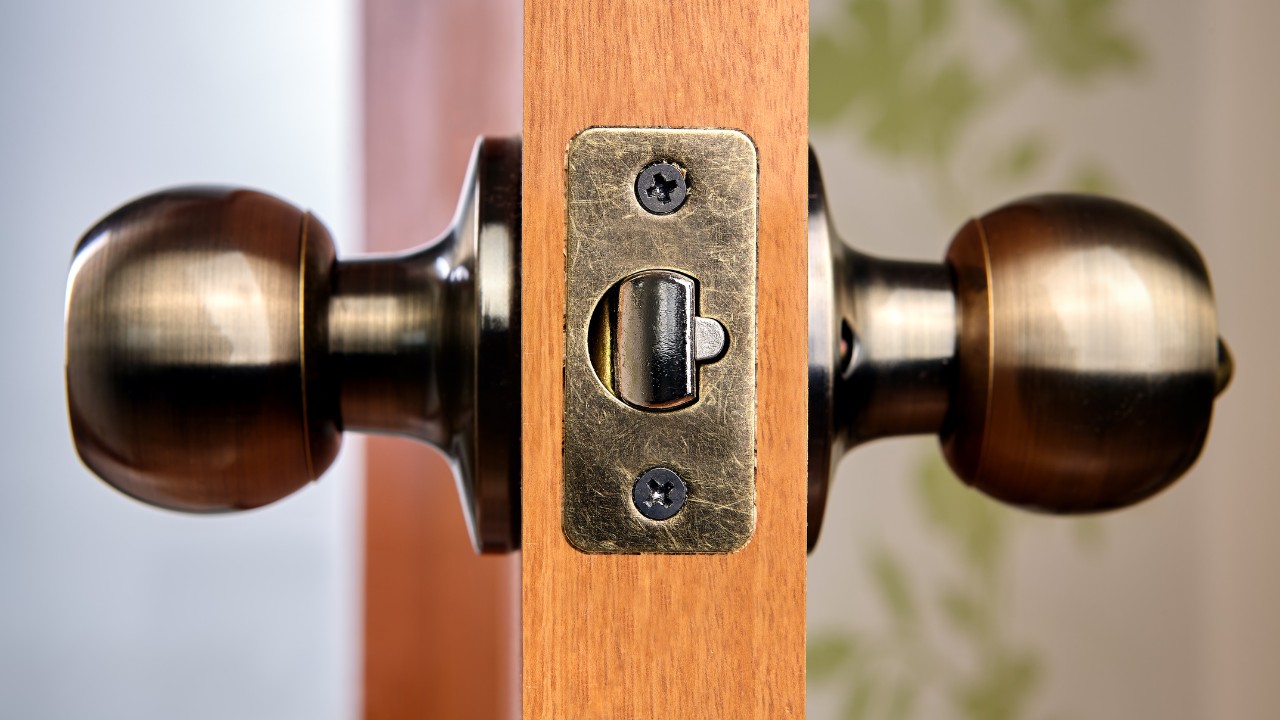 New wooden interior door complete with a handle and latch made of brass.