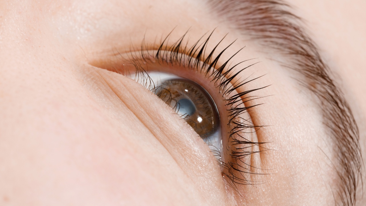 Close up view of beautiful female eye with long natural lashes.