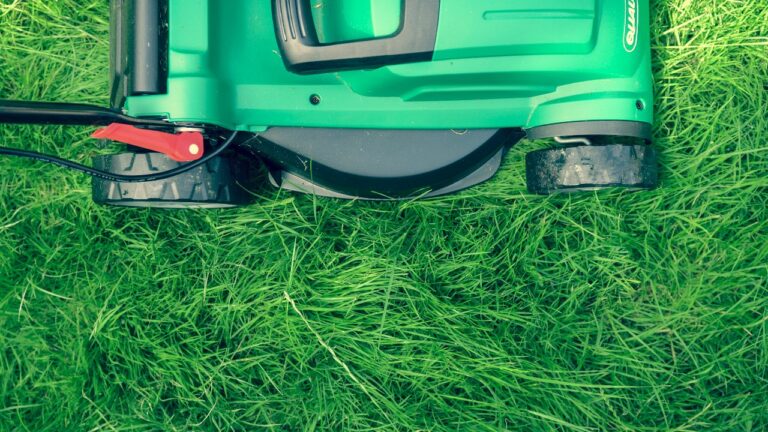 A bright green push lawn mower on bright green grass